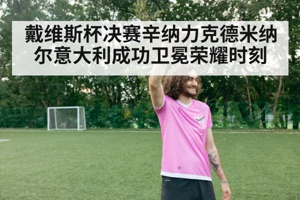 戴维斯杯决赛辛纳力克德米纳尔意大利成功卫冕荣耀时刻