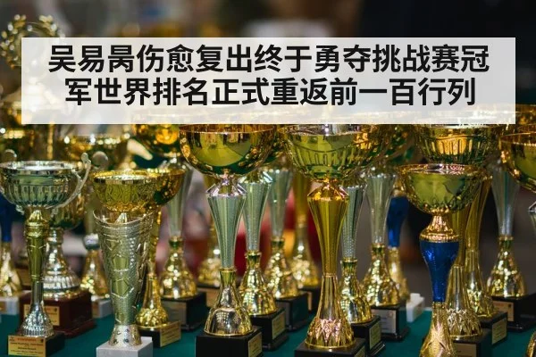 吴易昺伤愈复出终于勇夺挑战赛冠军世界排名正式重返前一百行列